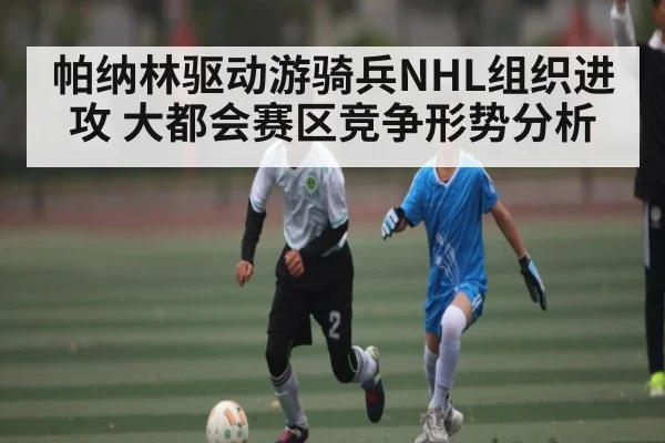帕纳林驱动游骑兵NHL组织进攻 大都会赛区竞争形势分析